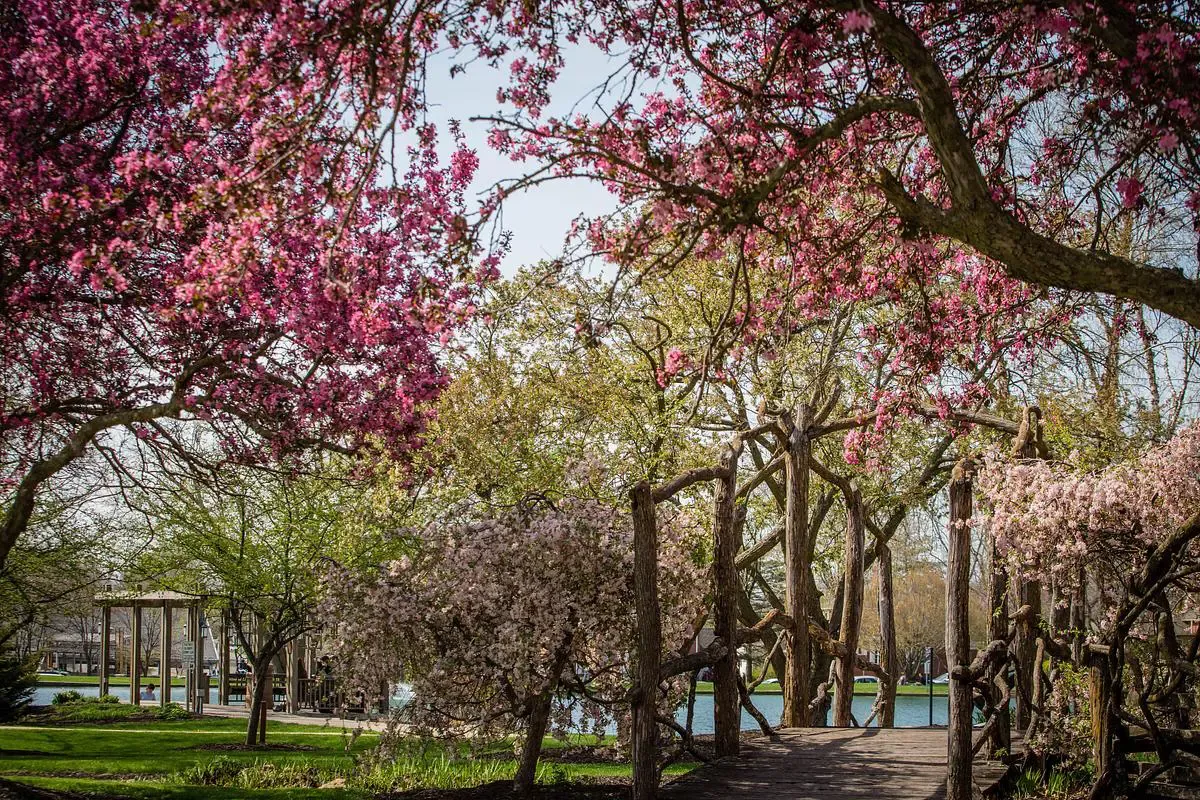 Campus in the spring